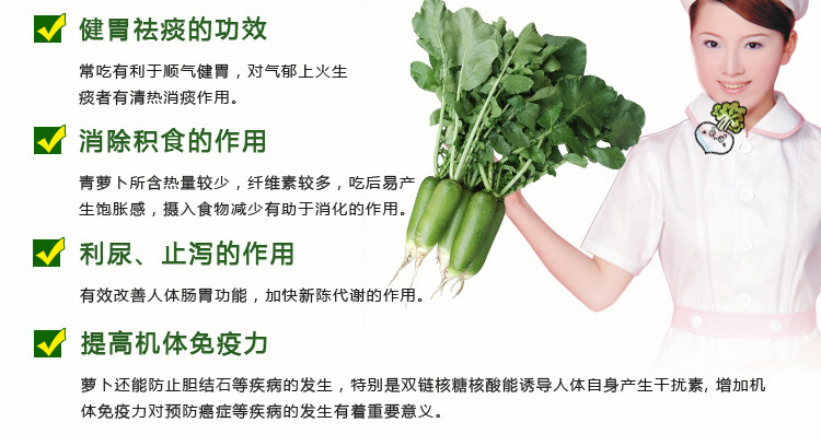 沙窝萝卜