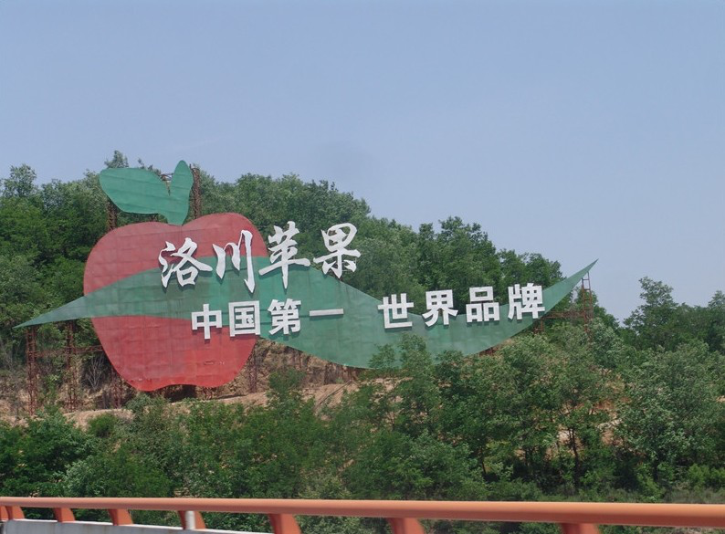 洛川苹果