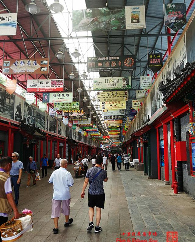 北京城里最大的花鸟鱼虫市场,体现着普通北京人的一种