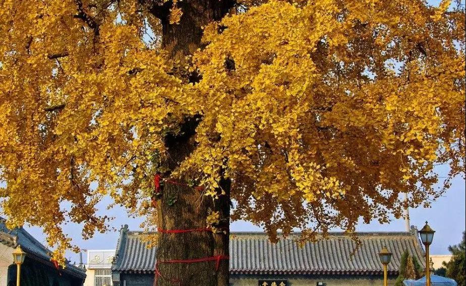 微信图片_20180922004921.jpg