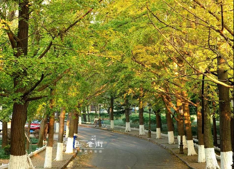 微信图片_20180922004924.jpg