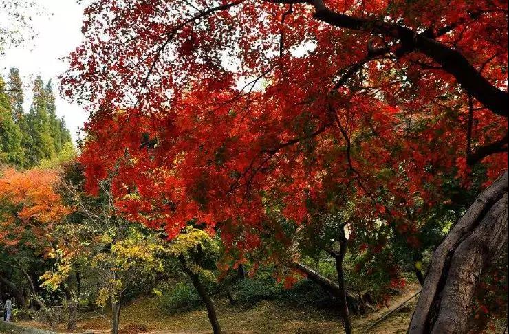 微信图片_20180922004944.jpg