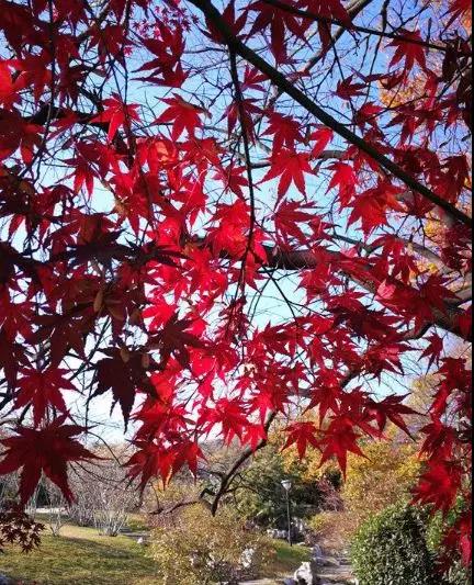 微信图片_20180922004947.jpg
